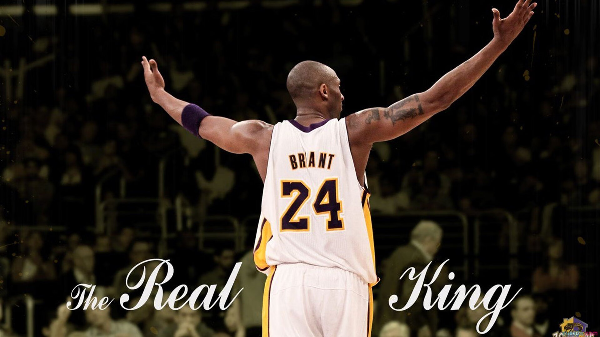 新王当立！布克太阳灼伤马刺青春，三球欧冠决赛秀出未来统治力